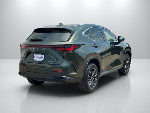 Used 2024 Lexus NX 350h AWD w/ Cold Area Package image 5