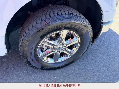 Used 2025 Ford F150 XLT w/ Equipment Group 301A Standard AWD/4WD image 9