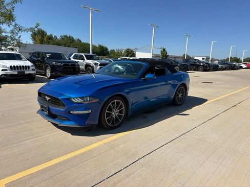 Used 2019 Ford Mustang Premium w/ Equipment Group 201A RWD image 3