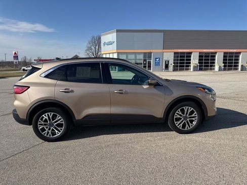 Used 2020 Ford Escape SEL AWD/4WD image 2