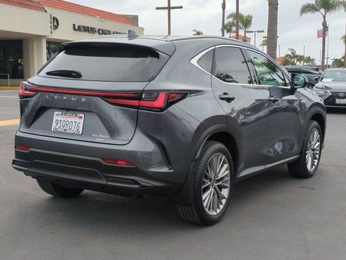 Used 2025 Lexus NX 350h AWD w/ Cold Area Package image 5