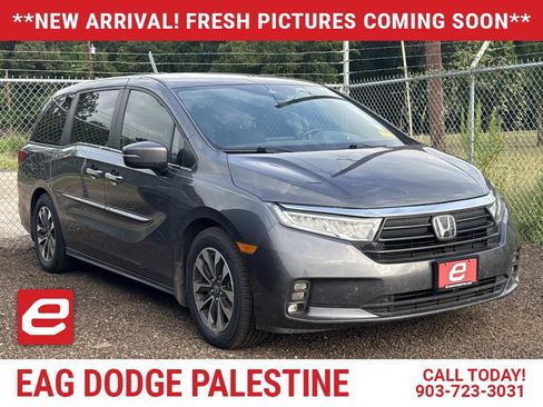 Used 2021 Honda Odyssey EX-L image 1