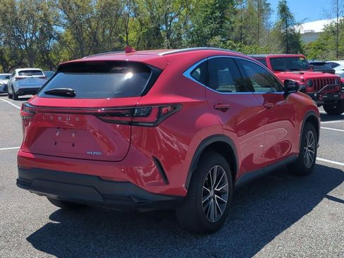 Used 2024 Lexus NX 250 NX 250 Premium w/ Towing Package (2000 Lbs) image 5