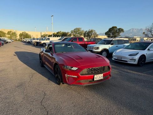 Used 2023 Ford Mustang Coupe w/ Equipment Group 101A RWD image 2