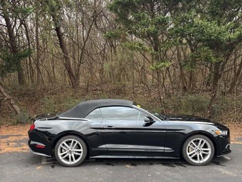 Used 2017 Ford Mustang Premium w/ Equipment Group 201A image 5