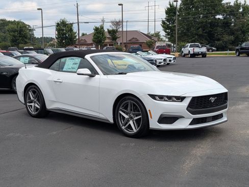 New 2025 Ford Mustang Premium RWD image 2