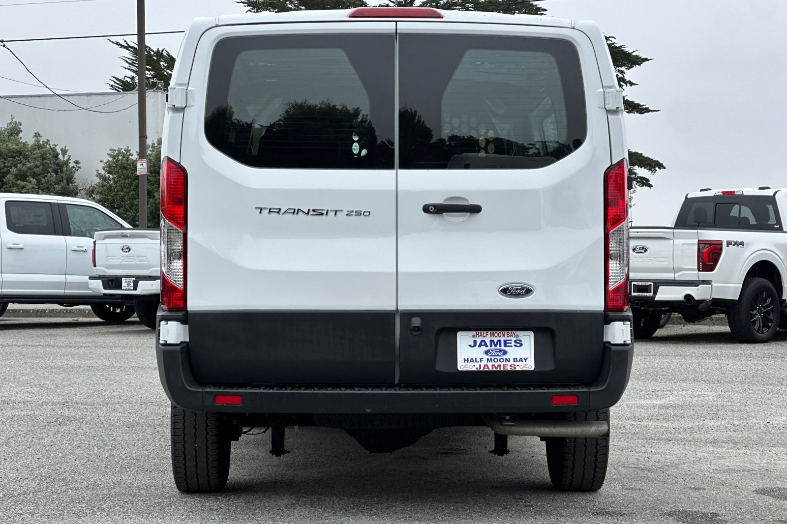 Used 2025 Ford Transit 250 Low Roof w/ Exterior Upgrade Package RWD image 4