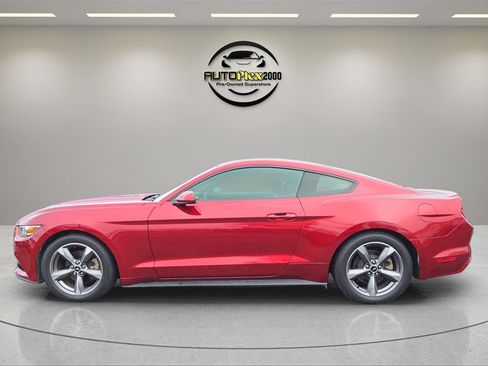 Used 2016 Ford Mustang Coupe w/ Equipment Group 051A image 4