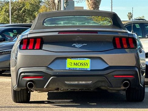 Used 2024 Ford Mustang Premium image 6