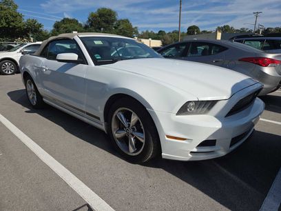 Used 2014 Ford Mustang Premium w/ Equipment Group 203A