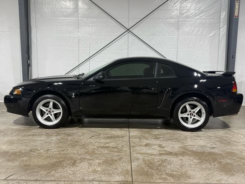 Used 2001 Ford Mustang Cobra image 2