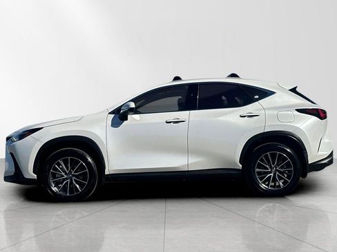 Certified 2025 Lexus NX 250 250 Premium image 3