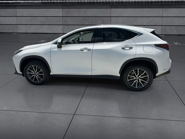 Certified 2024 Lexus NX 250 FWD image 5