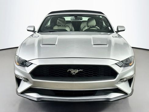 Used 2019 Ford Mustang Premium RWD image 2