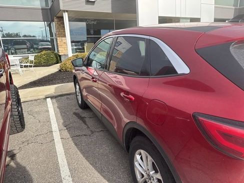 Used 2020 Ford Escape SE image 4