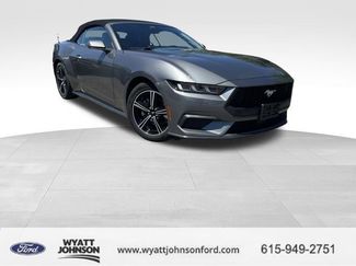 Used 2024 Ford Mustang Premium RWD video 1