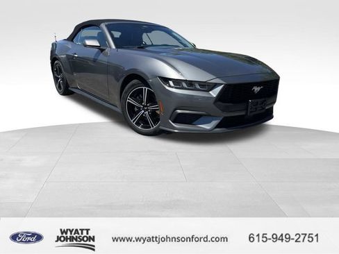 Used 2024 Ford Mustang Premium RWD image 1