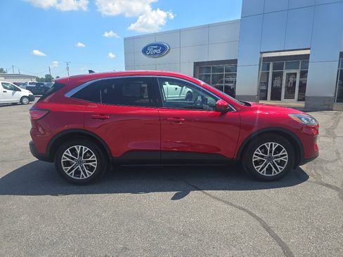 Used 2022 Ford Escape SEL image 5