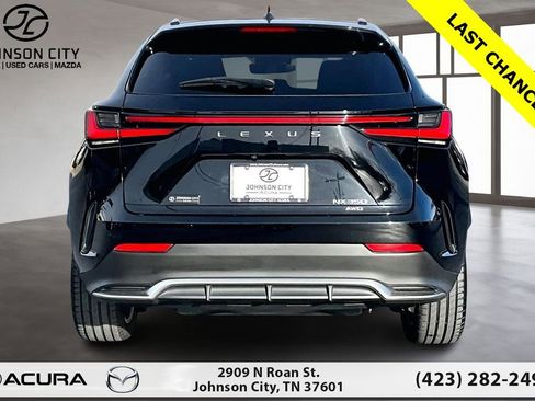 Used 2023 Lexus NX 350 F Sport AWD/4WD image 4