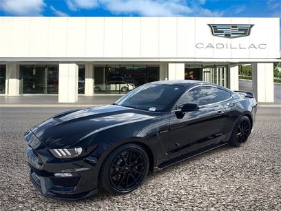 Used 2019 Ford Mustang Shelby GT350 w/ Technology Package