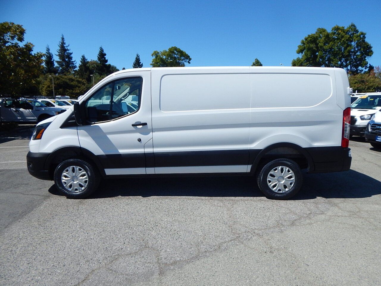 Used 2025 Ford Transit 250 Low Roof w/ Exterior Upgrade Package RWD image 5