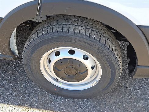 New 2026 Ford Transit 250 148 Medium Roof w/ Load Area Protection Package image 7