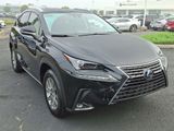 Used 2020 Lexus NX 300h AWD w/ Comfort Package image 3