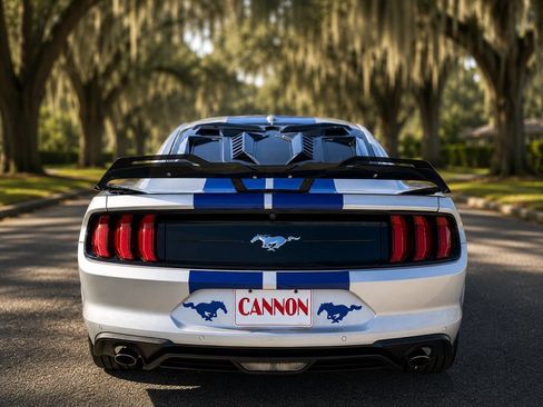 Used 2019 Ford Mustang Premium w/ Equipment Group 201A RWD image 5