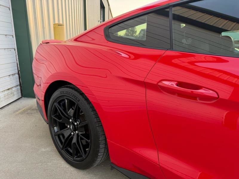Used 2015 Ford Mustang GT Premium w/ 50 Years Appearance Package RWD image 5