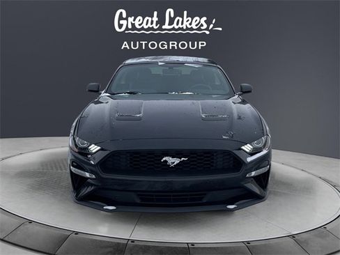 Used 2018 Ford Mustang Premium w/ Equipment Group 201A image 8