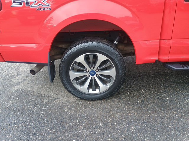 Used 2019 Ford F150 XL w/ Equipment Group 101A Mid AWD/4WD image 11