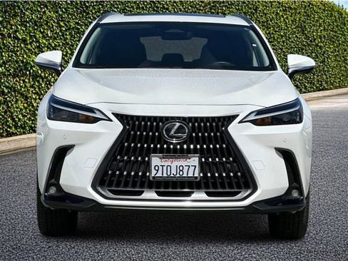 Used 2025 Lexus NX 350h AWD w/ Cold Area Package image 9