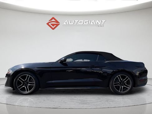 Used 2022 Ford Mustang Premium RWD image 6