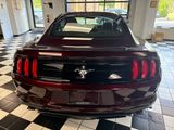 Used 2018 Ford Mustang Premium w/ Equipment Group 201A image 5