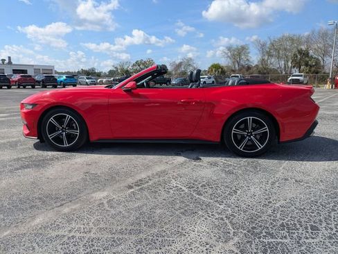 Used 2024 Ford Mustang Premium image 4