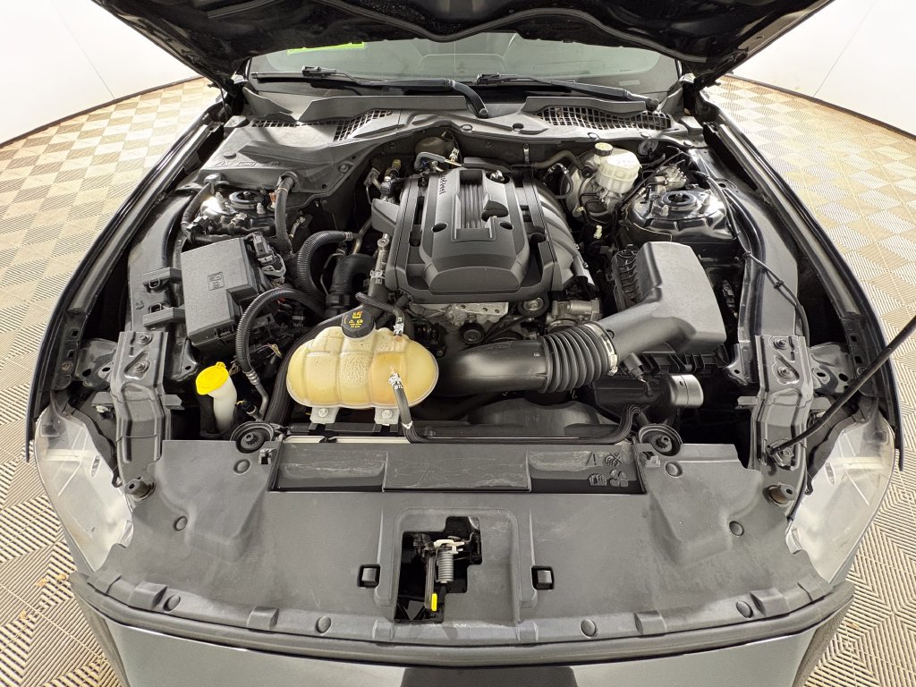 Used 2019 Ford Mustang Premium RWD image 31