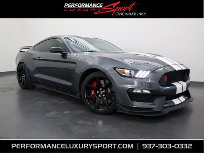 Used 2019 Ford Mustang Shelby GT350R w/ GT350R Equipment Group 920A