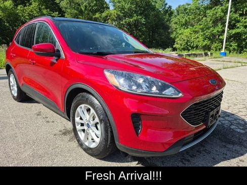 Used 2020 Ford Escape SE FWD image 11