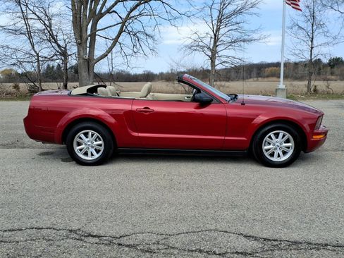Used 2008 Ford Mustang Deluxe RWD image 9