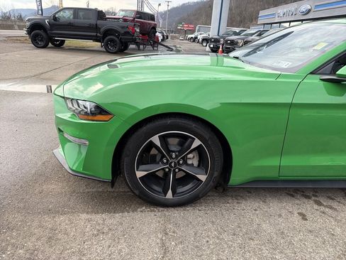 Used 2019 Ford Mustang Coupe RWD image 9