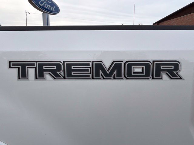 Certified 2021 Ford F250 Lariat AWD/4WD image 9