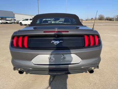 Used 2021 Ford Mustang Premium image 5
