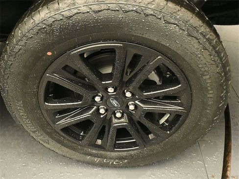 New 2026 Ford F150 Platinum w/ FX4 Off-Road Package image 9