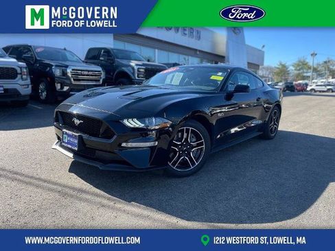 Certified 2021 Ford Mustang GT Premium w/ Equipment Group 401A RWD image 1