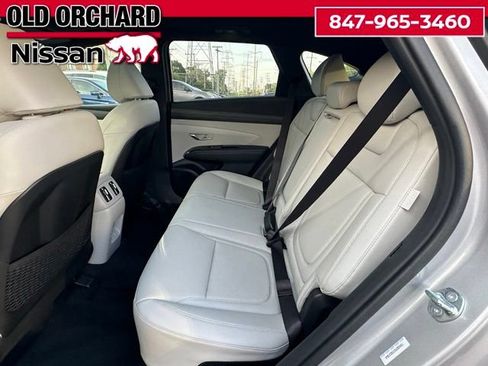 Used 2025 Hyundai Tucson Limited AWD/4WD image 13