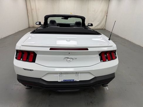 Used 2025 Ford Mustang Premium RWD image 10