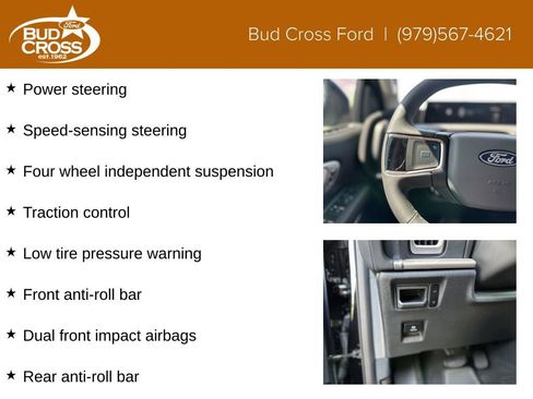 New 2025 Ford Expedition Active image 12