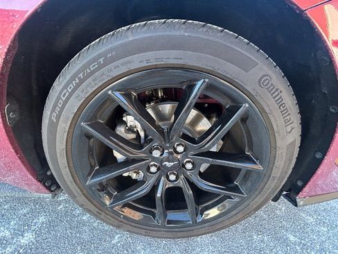 Used 2025 Ford Mustang Premium w/ Mustang Nite Pony Package image 11