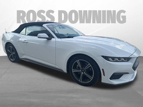 Used 2025 Ford Mustang Premium image 8