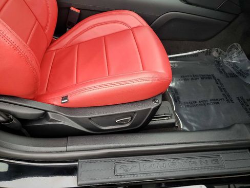 Used 2019 Ford Mustang GT image 15